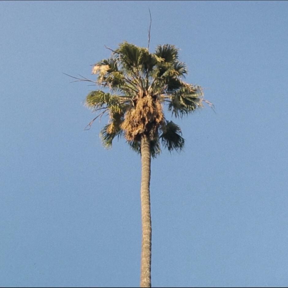 Sunbaked - Single