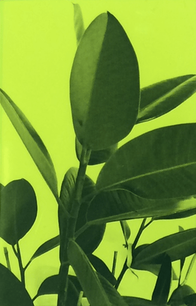 House Plant Music