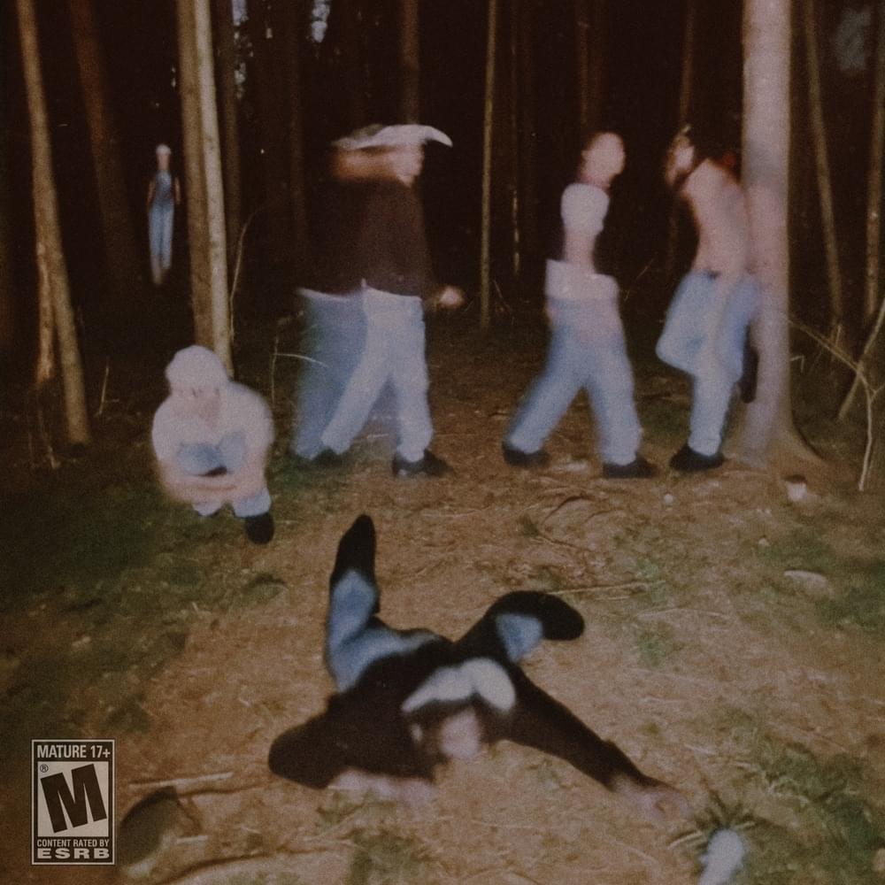rave in the redwoods.