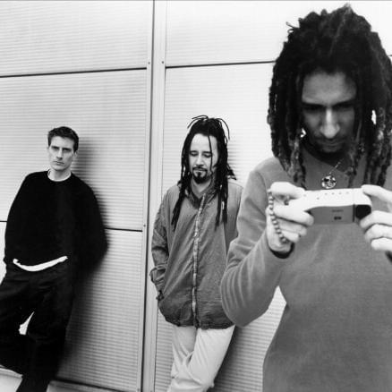 Sweetback