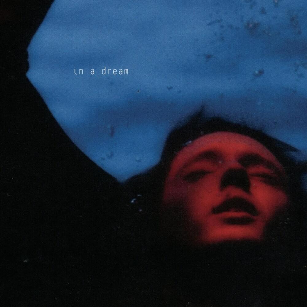 In a Dream (Vinyl Edition)