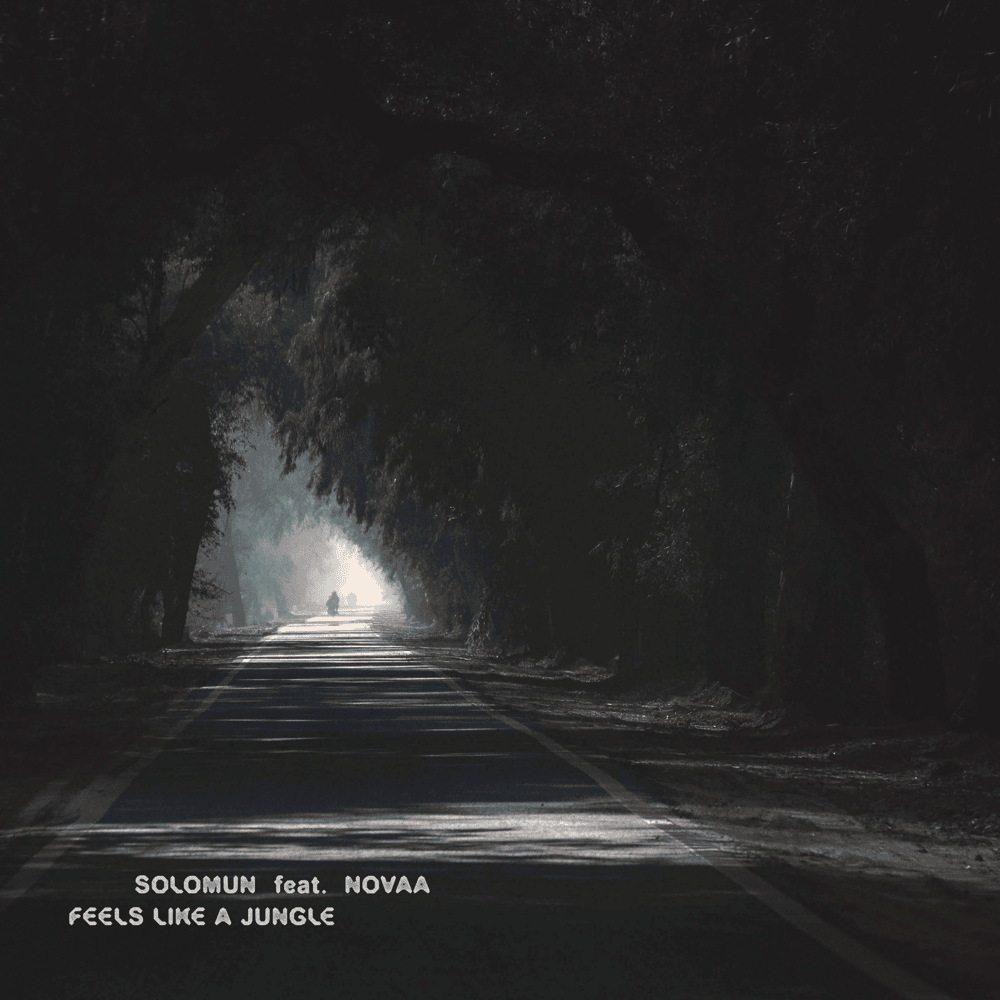 Feels Like A Jungle (Single)