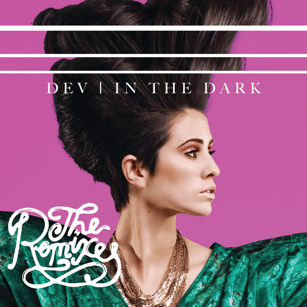 In the Dark (The Remixes)