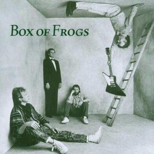 Box Of Frogs