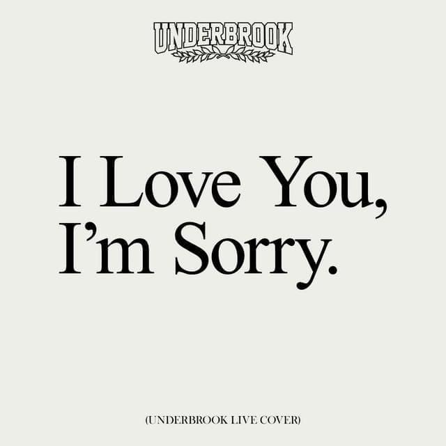 I Love You, I’m Sorry (Live Cover)