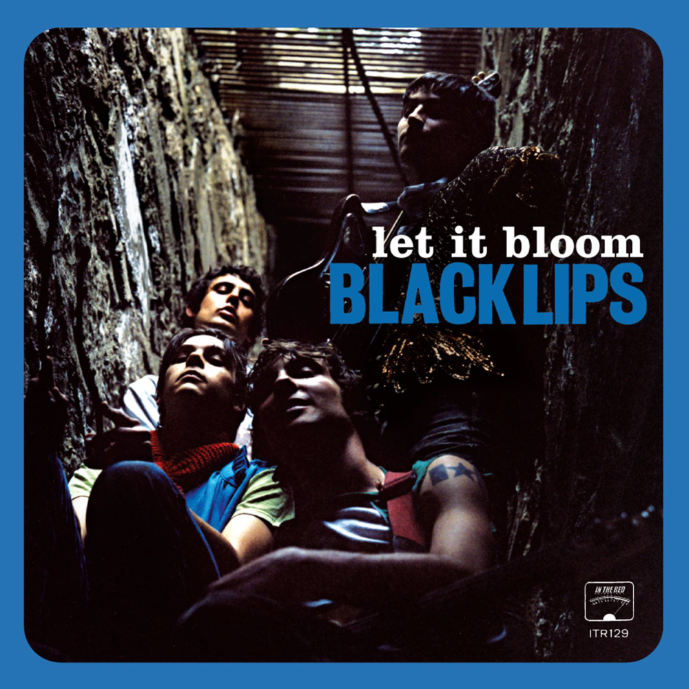 Let It Bloom