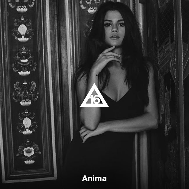 Three 16s • Anima