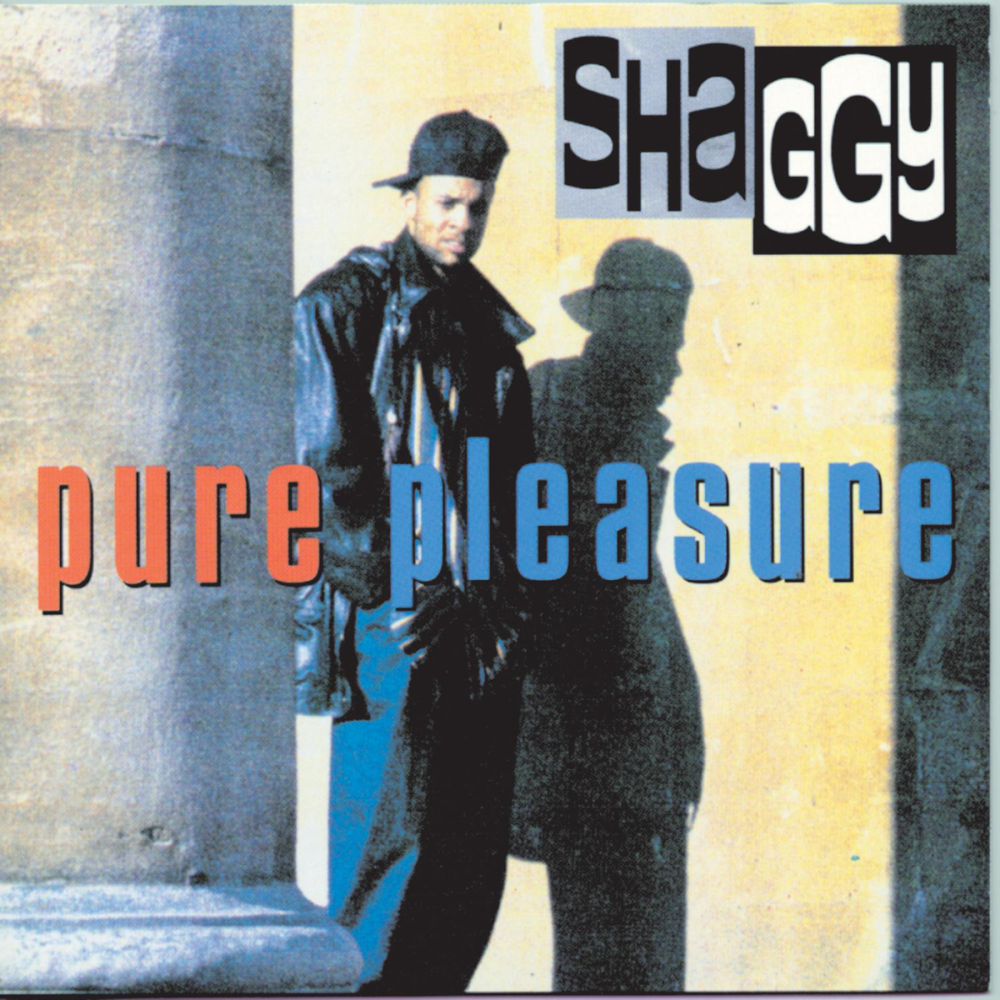Shaggy Pure Pleasure
