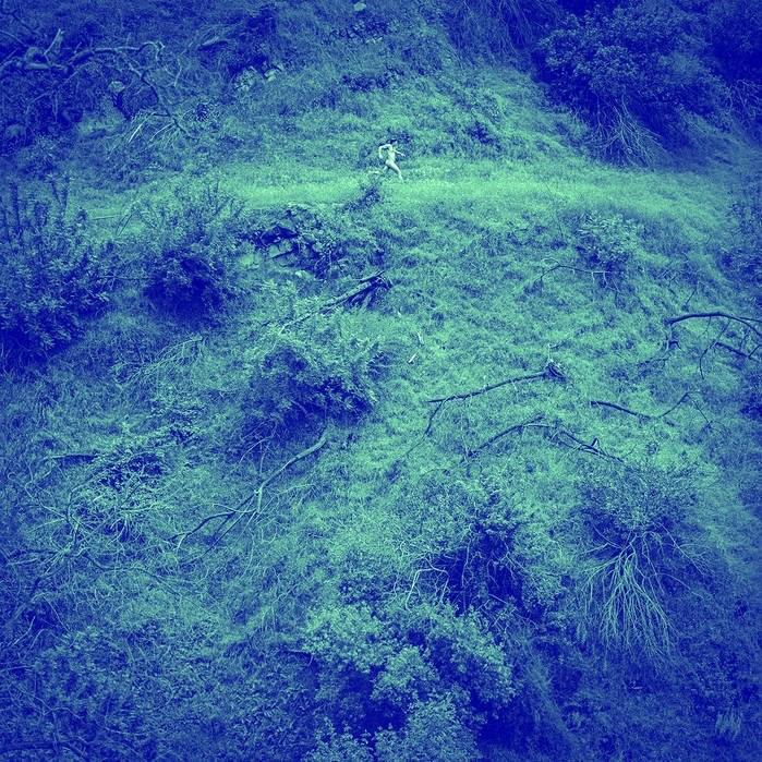 Animal Poem B-Sides