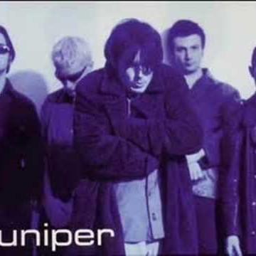 Juniper (IRL)