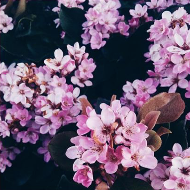 Sorry For The Summer!