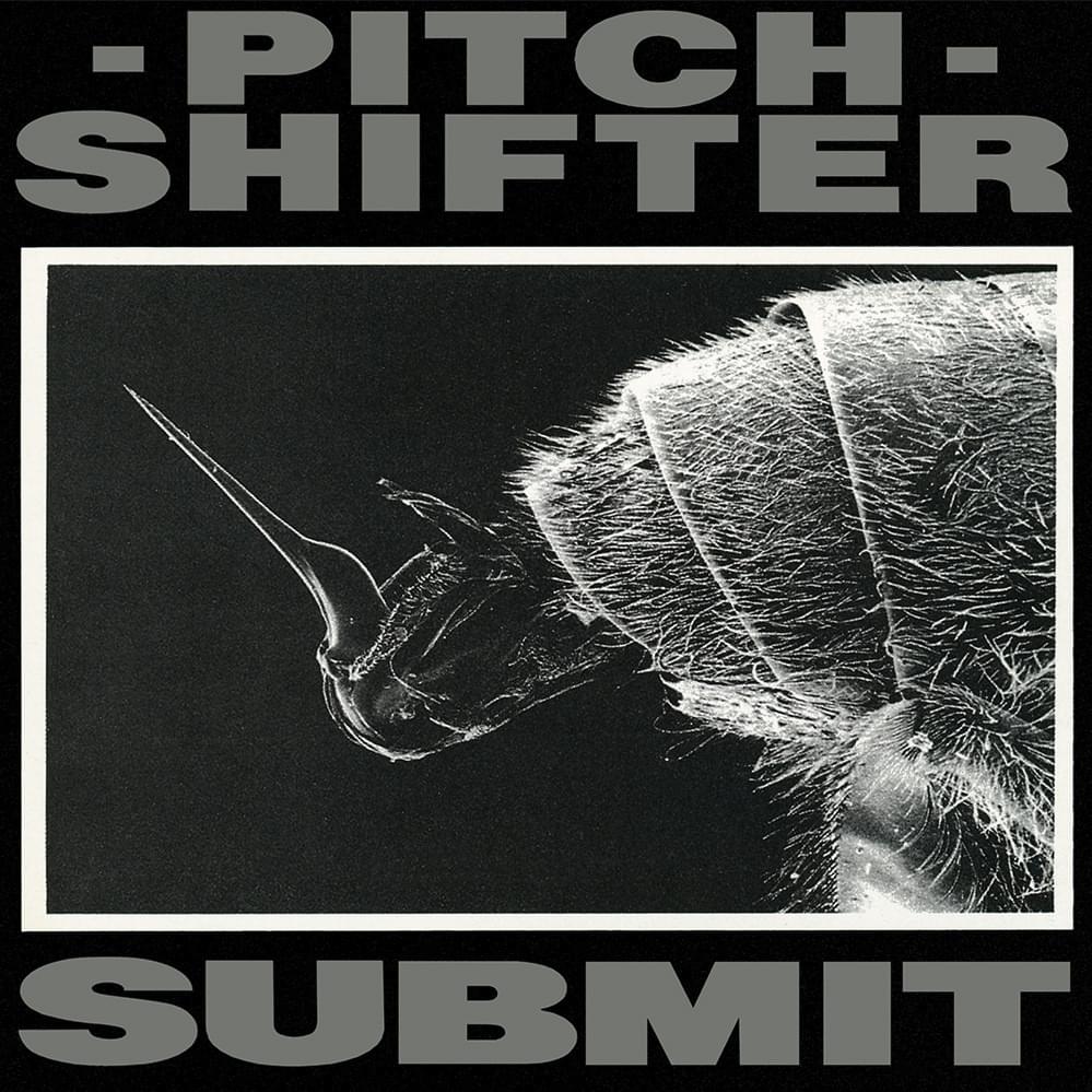 Submit