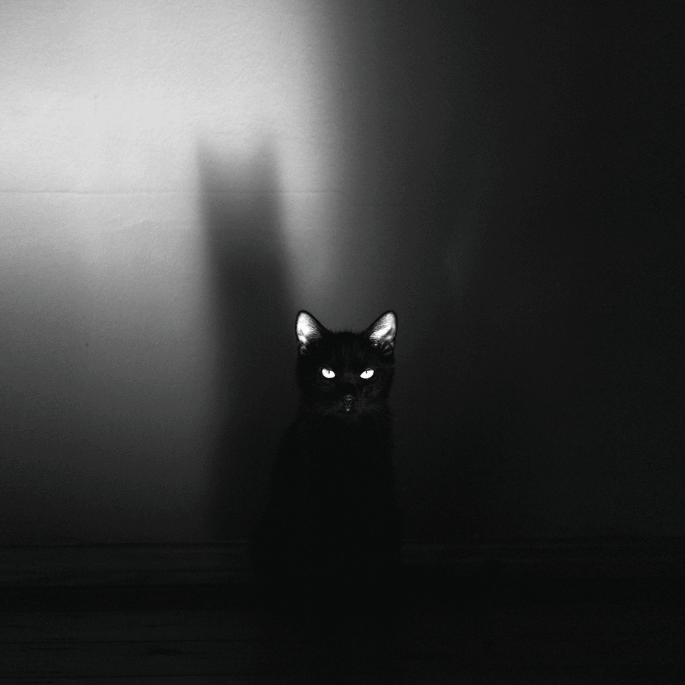 MELODRAMATIC