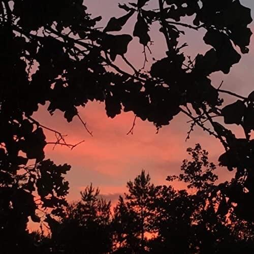 hopeful and indecisive - Single