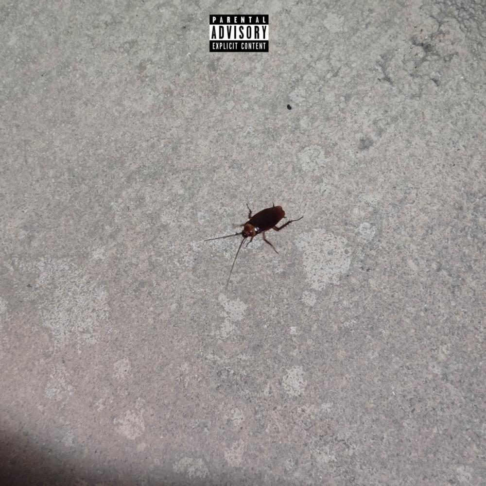 COCKROACH