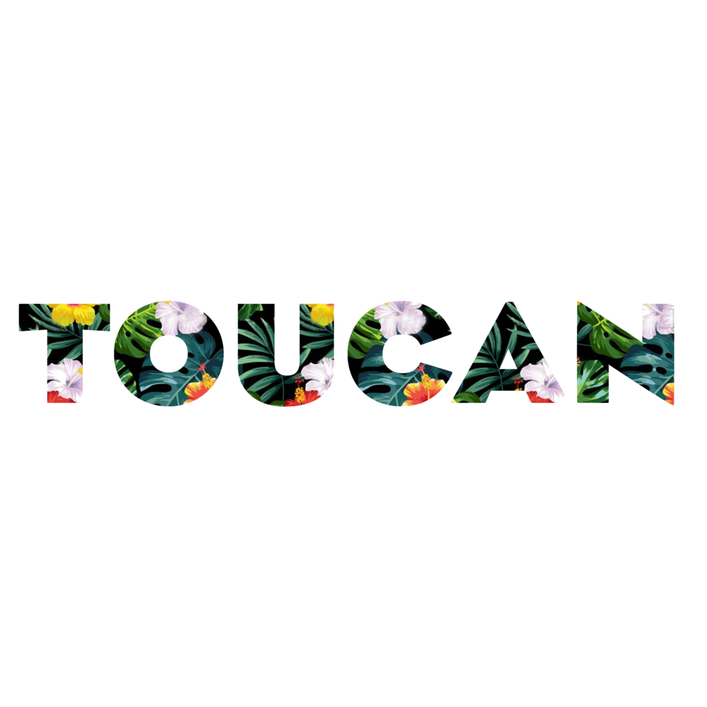TOUCAN