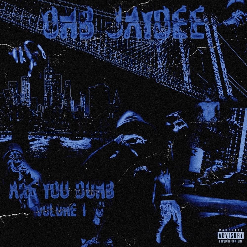 Are You Dumb Vol 1.