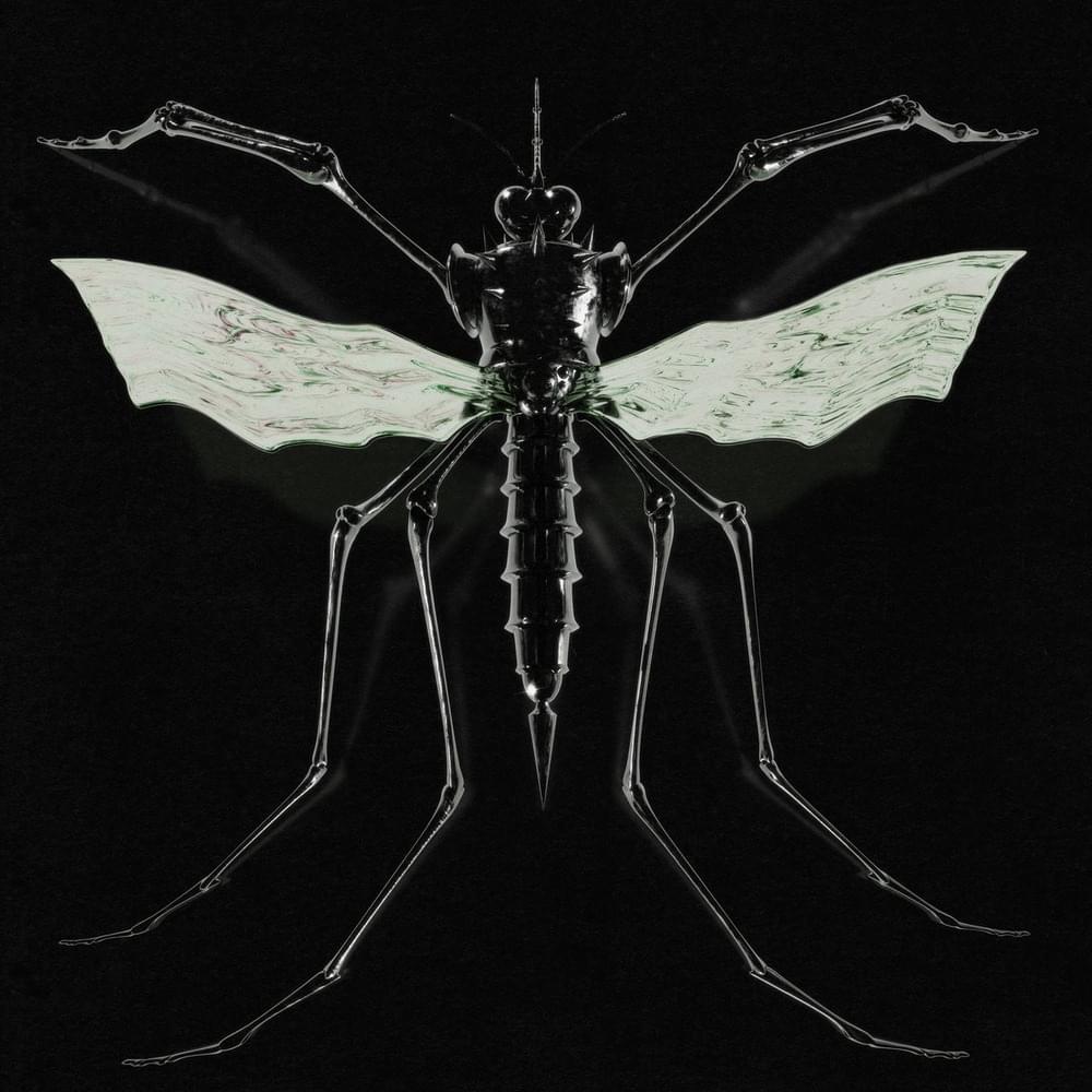 GNAT