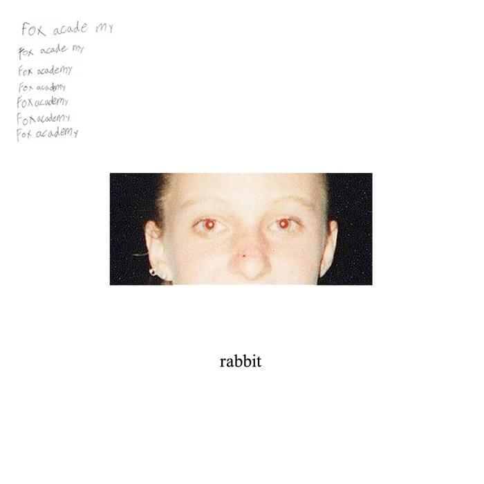 Rabbit 