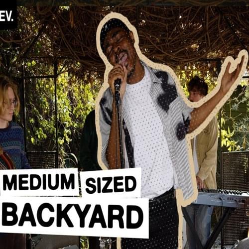 MEDIUM SIZED BACKYARD