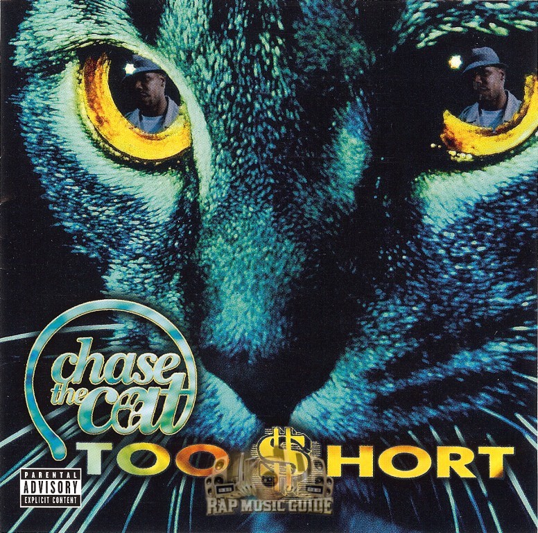 Chase the Cat