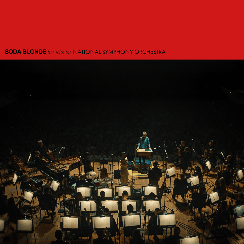 Dream Big (Live with the National Symphony Orchestra)