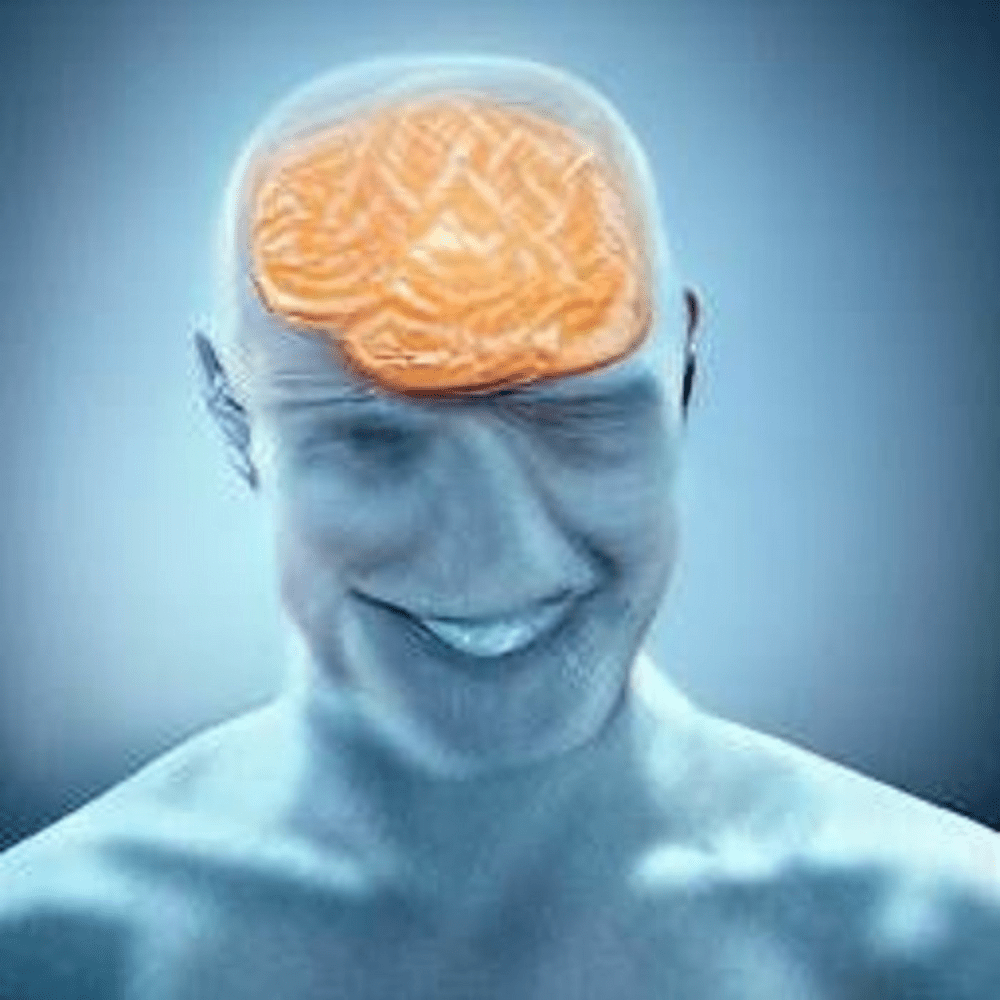 Brain Damage!