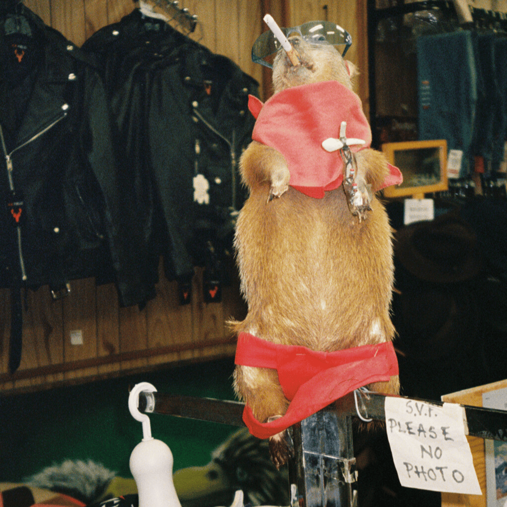 Don’t Wanna Know / Rock & Roll Queen