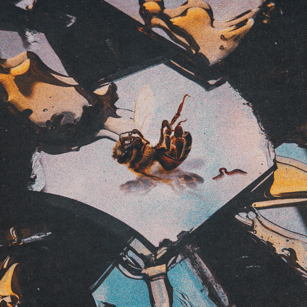 Honey Rot