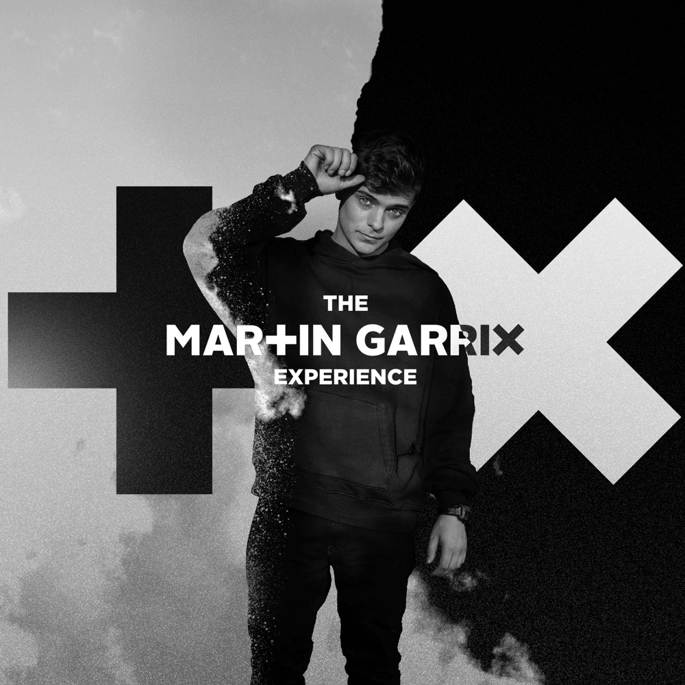 The Martin Garrix Experience
