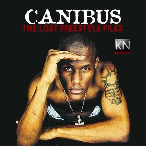 The Lost Freestyle Files (Mixtape)