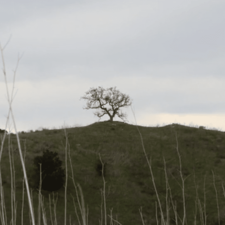 10,000 gecs and A Melodic Key to a Large Door*