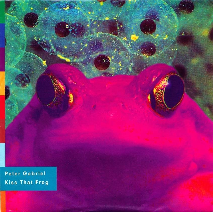 Kiss That Frog - Digipak Single