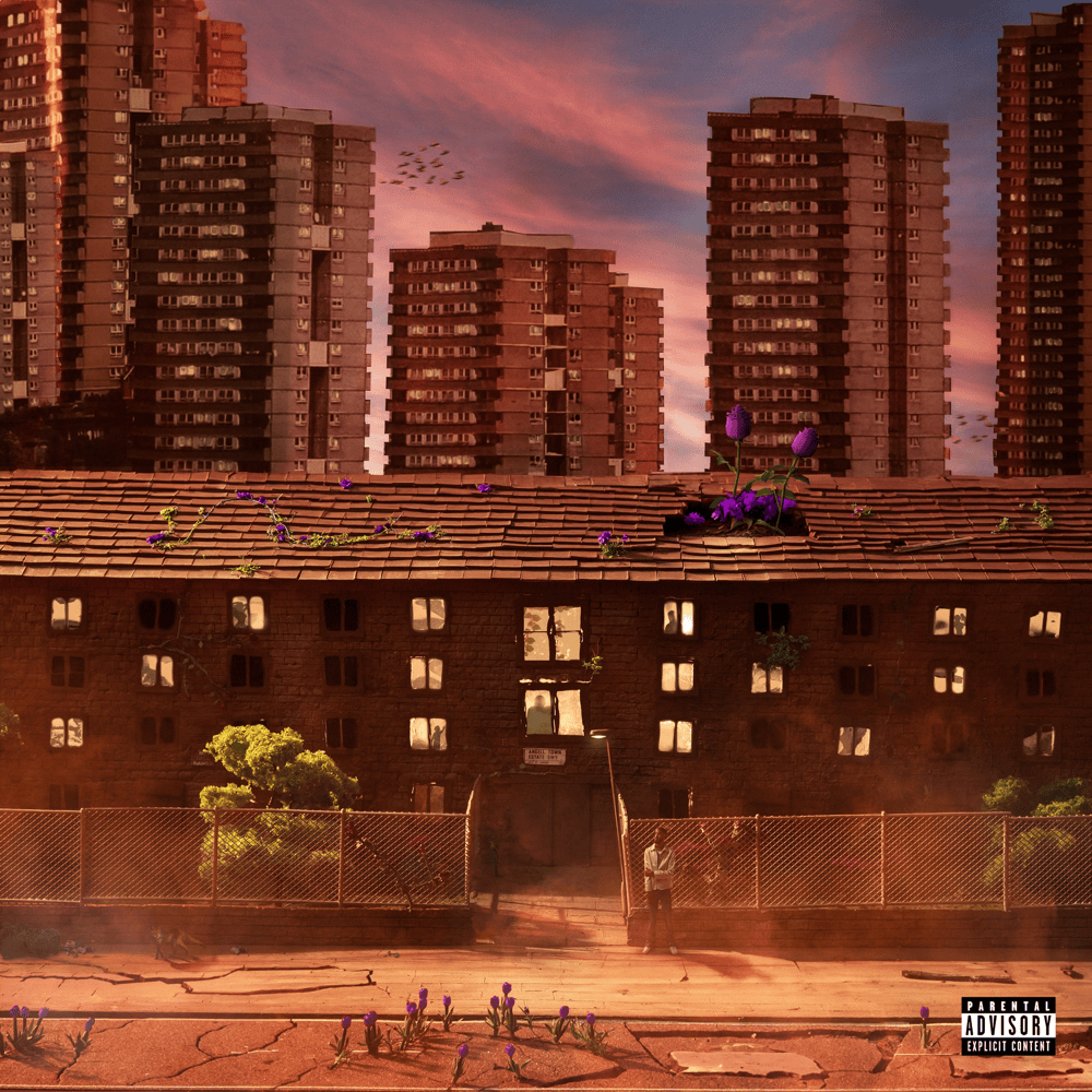 Concrete Rose