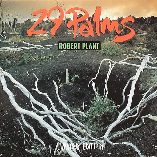 29 Palms