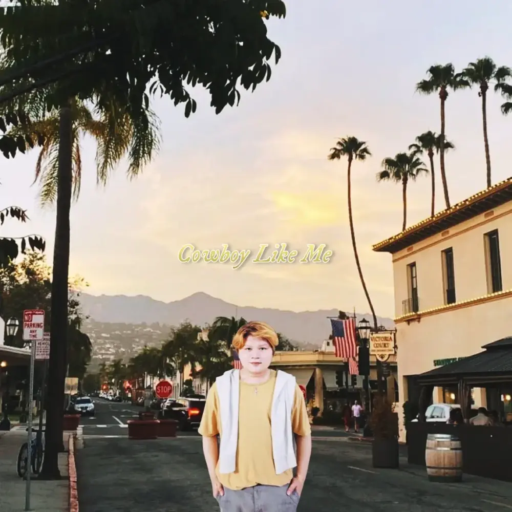 Cowboy Like Me (Single)
