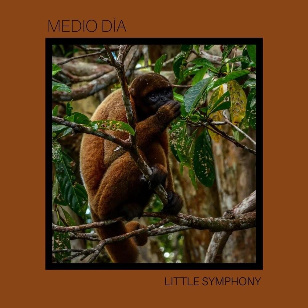 Medio Día