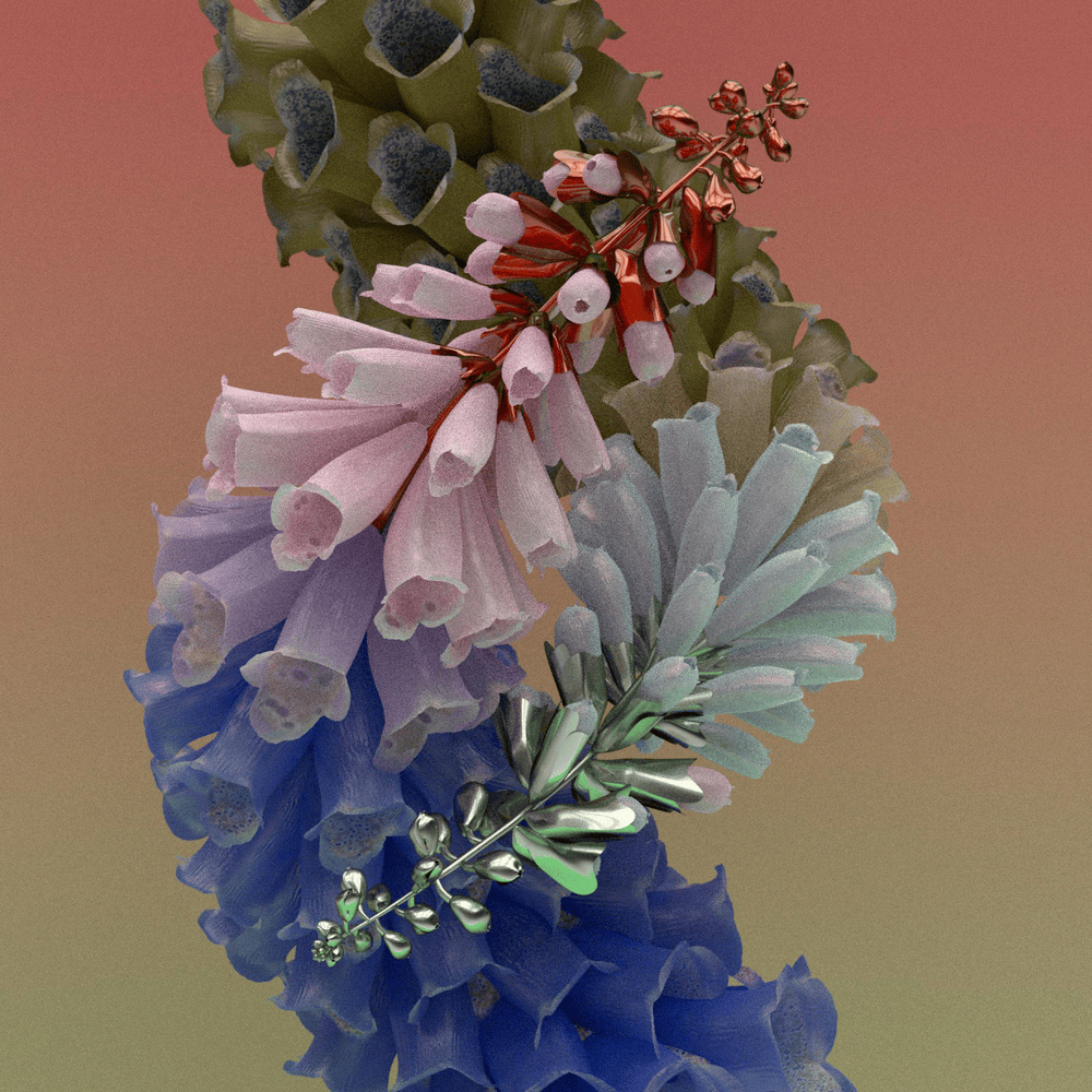 Tiddalik (NFT Collection)