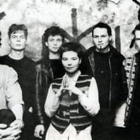 Tappi Tíkarrass