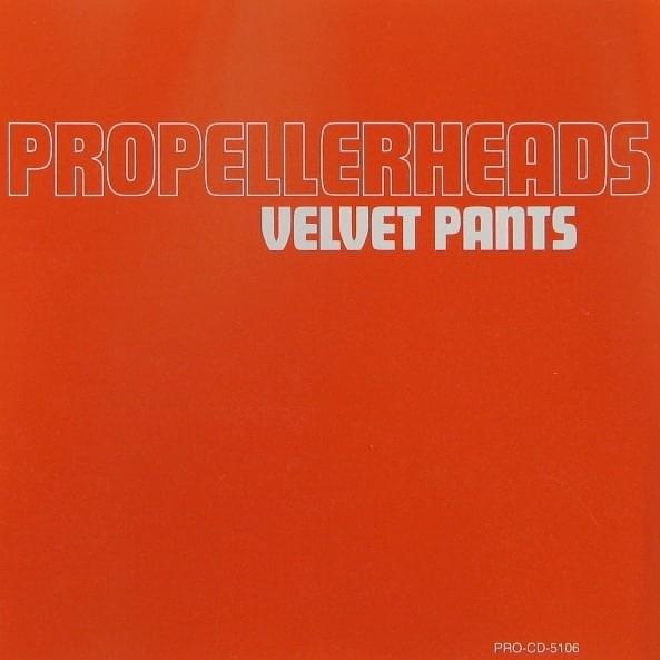 Velvet Pants