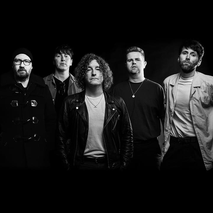 The Pigeon Detectives