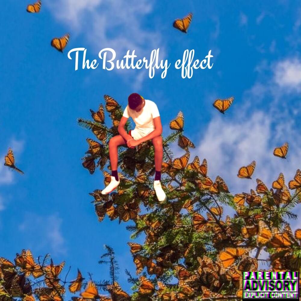 The butterfly effect