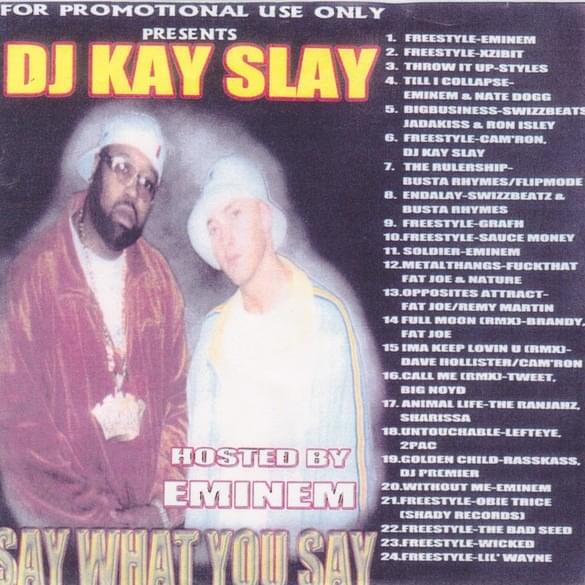 Say What You Say
