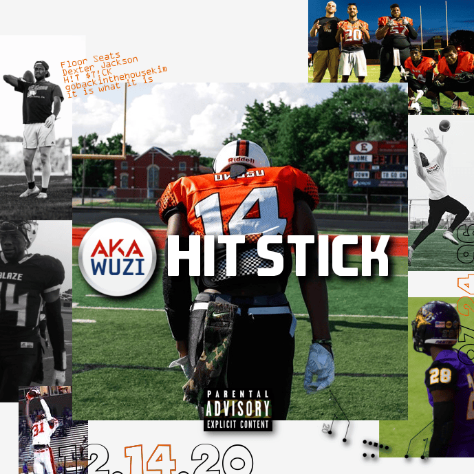 HIT STICK