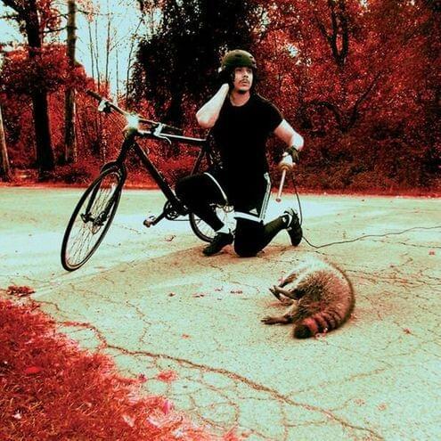 The Denial Twist - Single