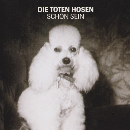 Schön sein - Single