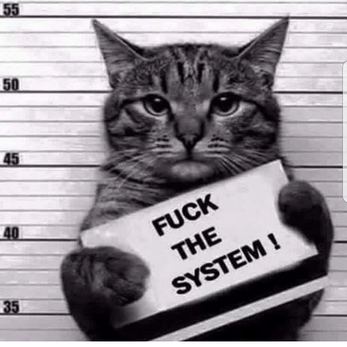 Fuck The System