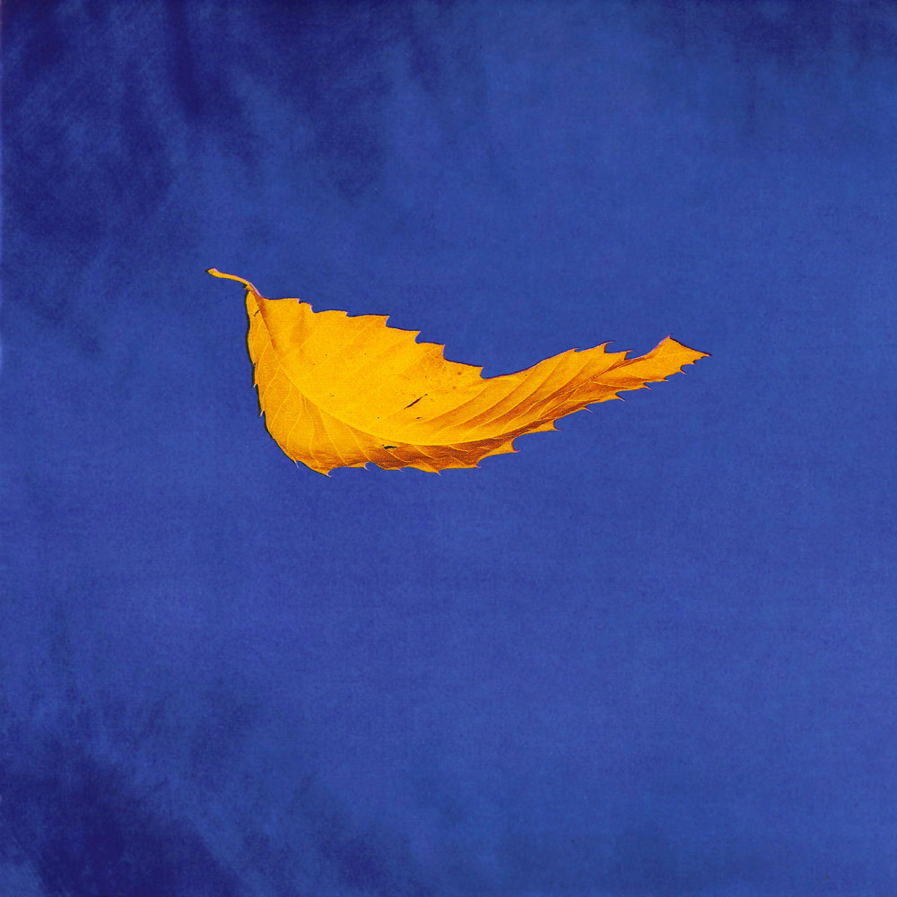 True Faith - 12" Single