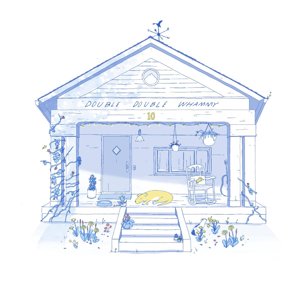 10 Years of Double Double Whammy