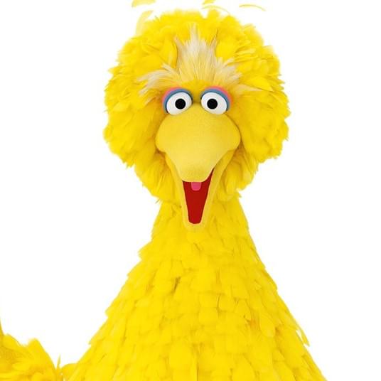 Big Bird